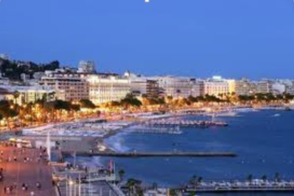 2pieces Croisette Martinez Appartement